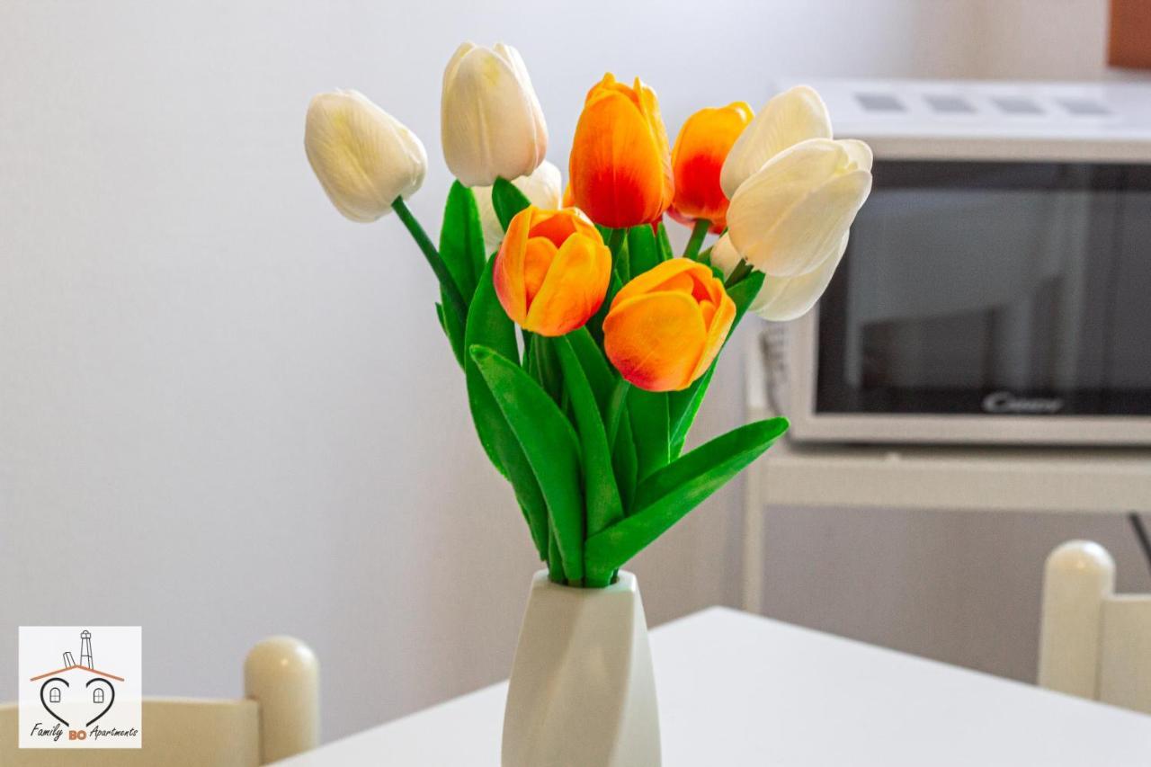 Familybo Apartments Sant'Orsola 博洛尼亚 外观 照片